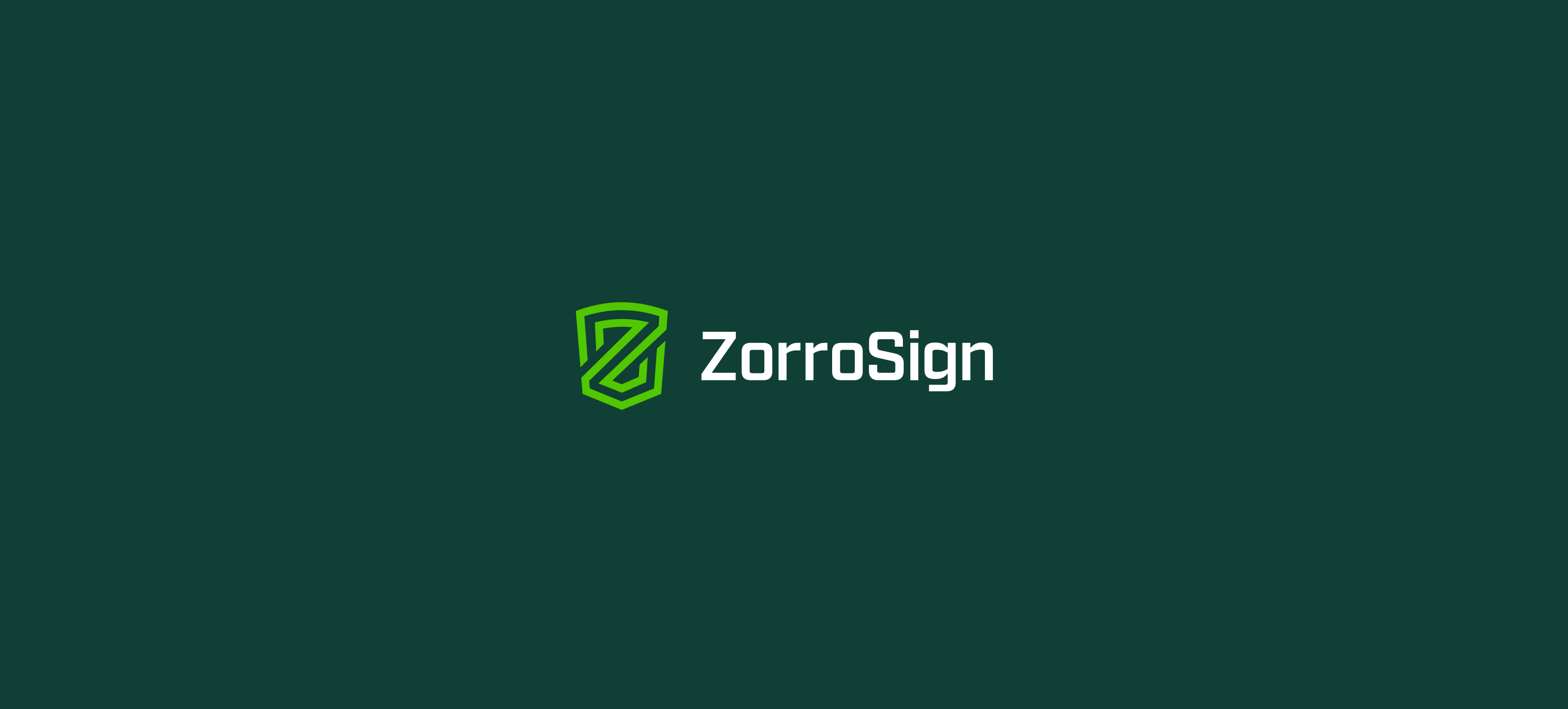 ZS Logo